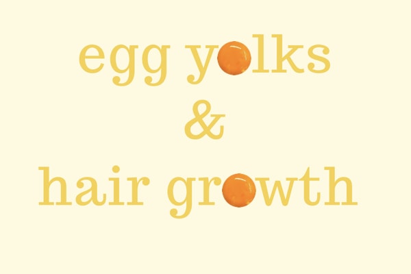 Hair growth by egg yolks